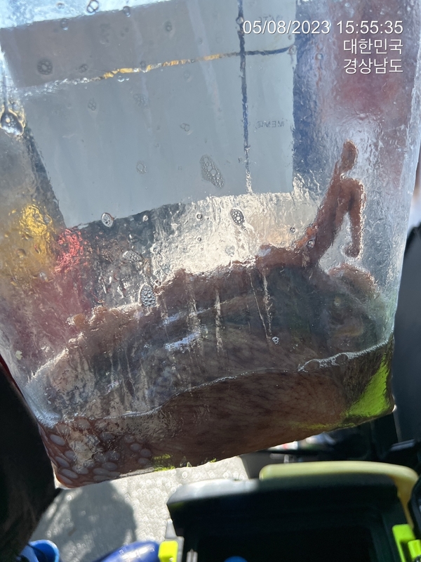 뉴경원피싱의 조황일지 이미지 - 1