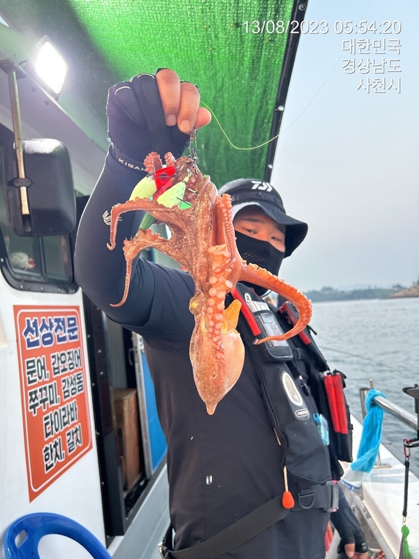 뉴경원피싱의 조황일지 이미지 - 9