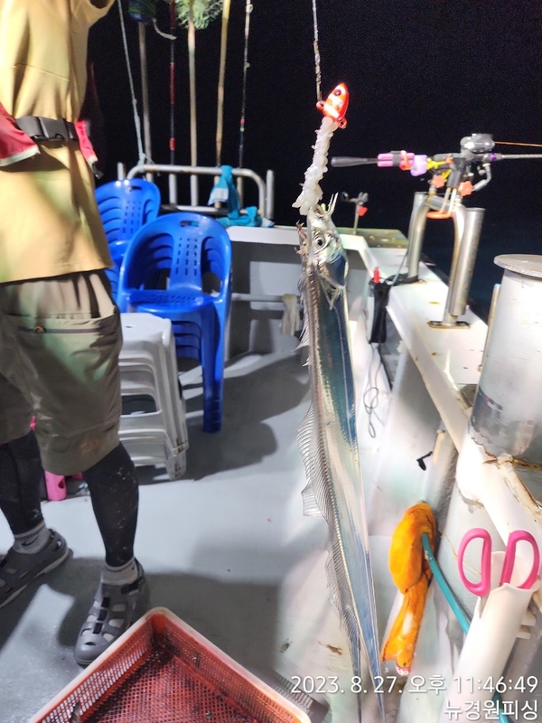 뉴경원피싱의 조황일지 이미지 - 6