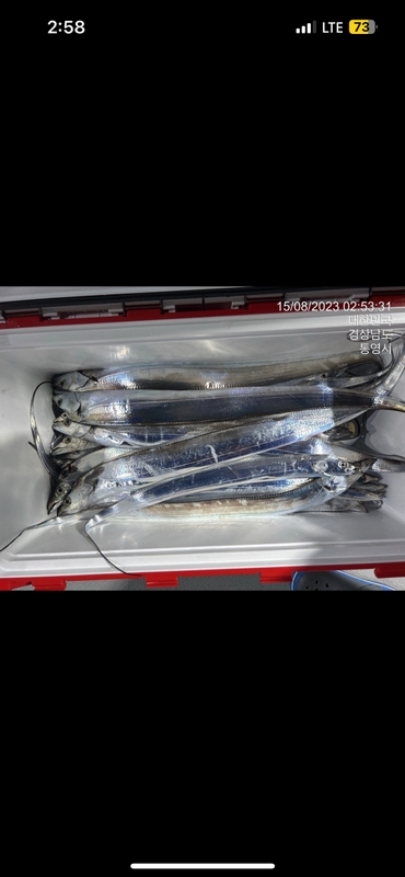 뉴경원피싱의 조황일지 이미지 - 8