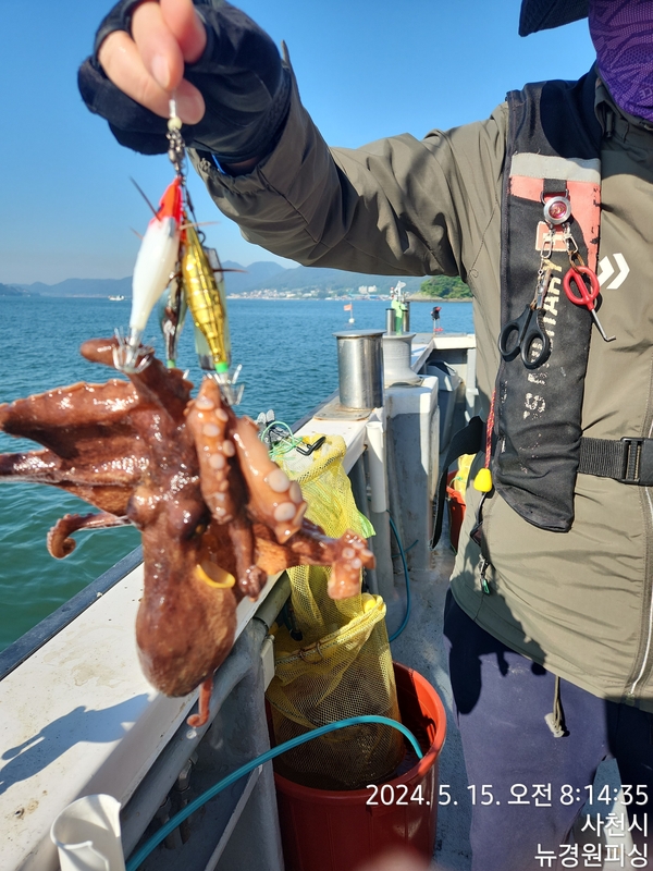 뉴경원피싱의 조황일지 이미지 - 14