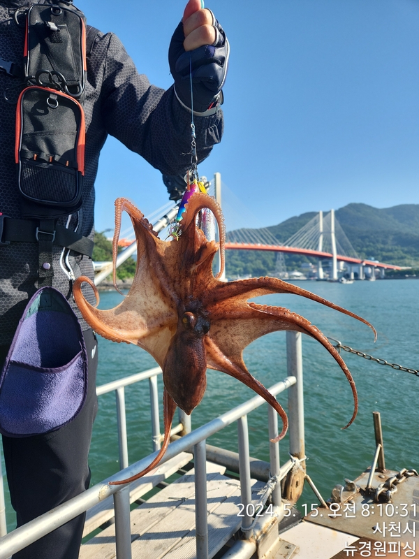 뉴경원피싱의 조황일지 이미지 - 15