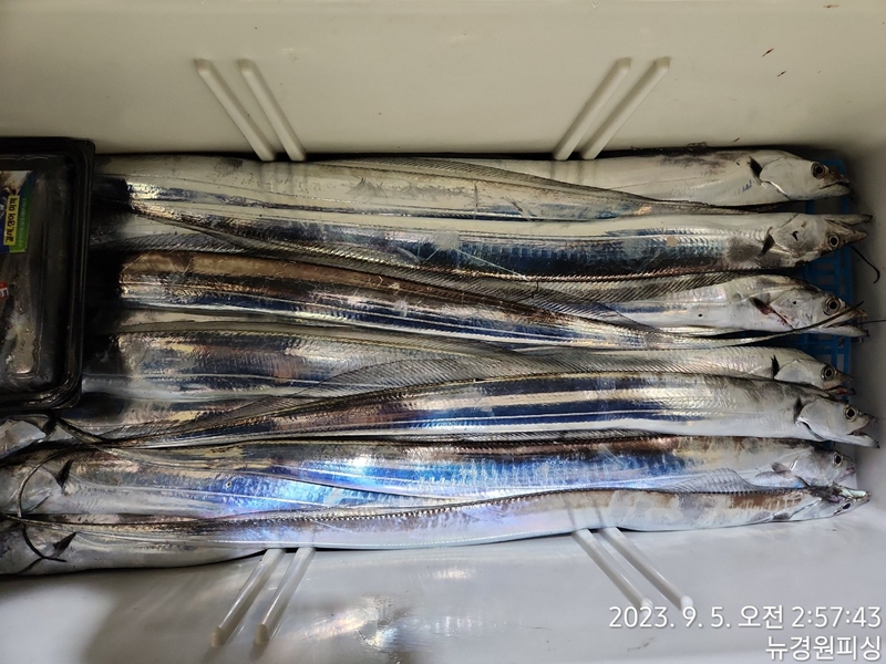 뉴경원피싱의 조황일지 이미지 - 4