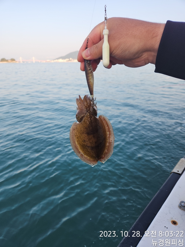 뉴경원피싱의 조황일지 이미지 - 7