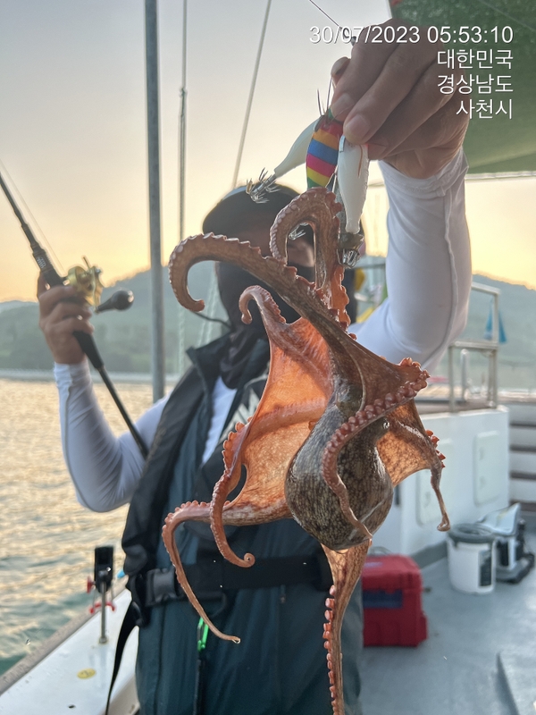 뉴경원피싱의 조황일지 이미지 - 4