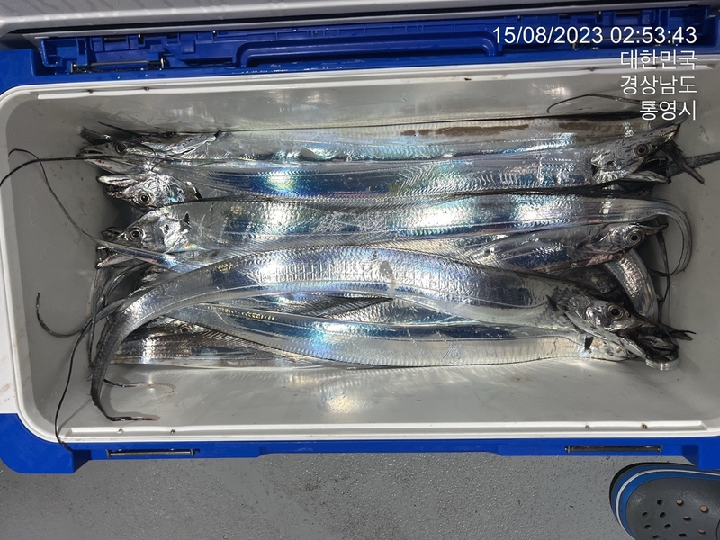 뉴경원피싱의 조황일지 이미지 - 0