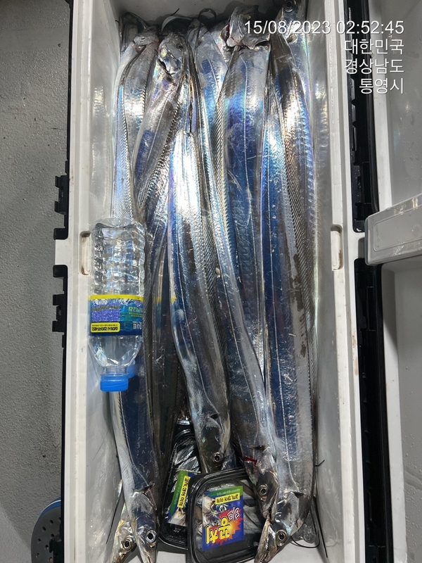 뉴경원피싱의 조황일지 이미지 - 5