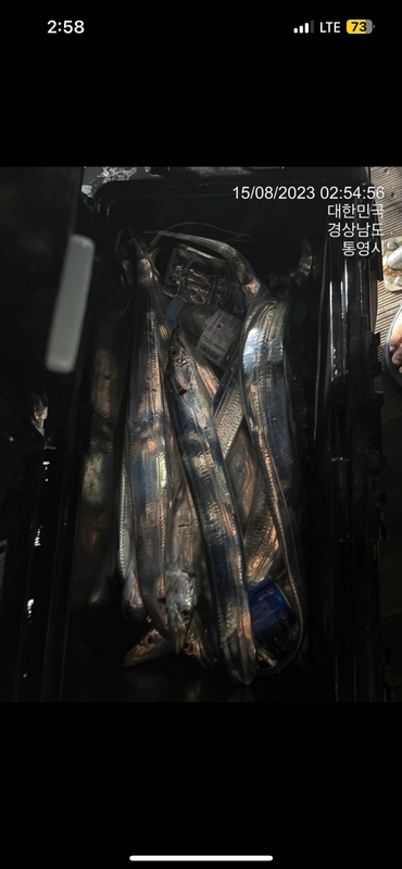 뉴경원피싱의 조황일지 이미지 - 3