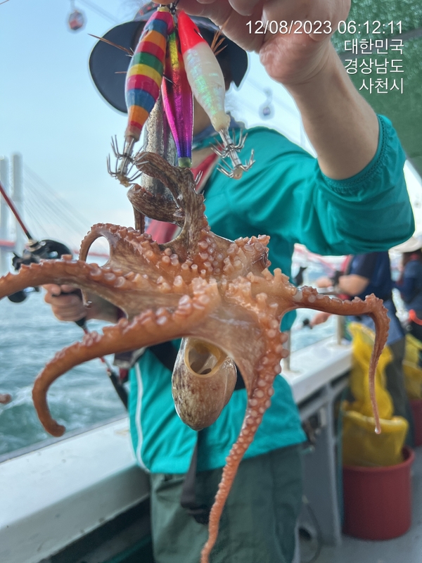 뉴경원피싱의 조황일지 이미지 - 0