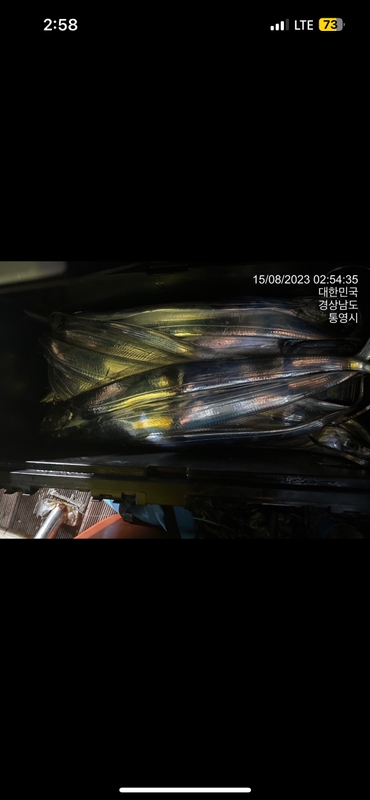 뉴경원피싱의 조황일지 이미지 - 1