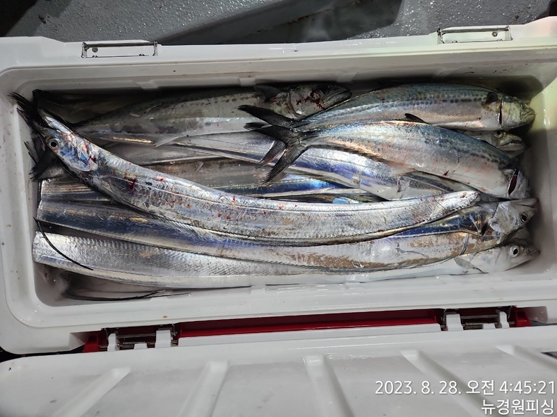 뉴경원피싱의 조황일지 이미지 - 1