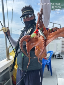 내일부터 다시 시작합니다 선상낚시로 잡은 물고기 조황