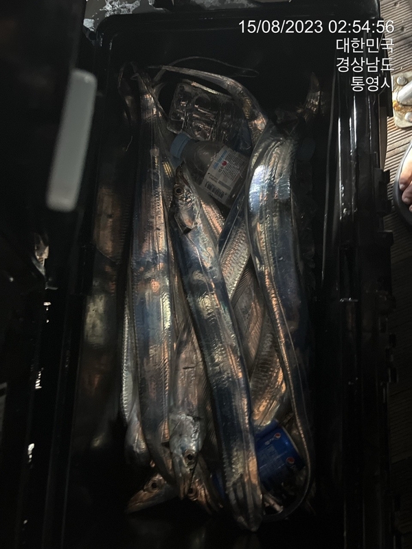 뉴경원피싱의 조황일지 이미지 - 4