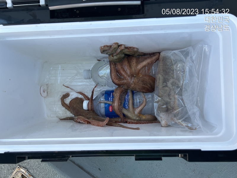 뉴경원피싱의 조황일지 이미지 - 2