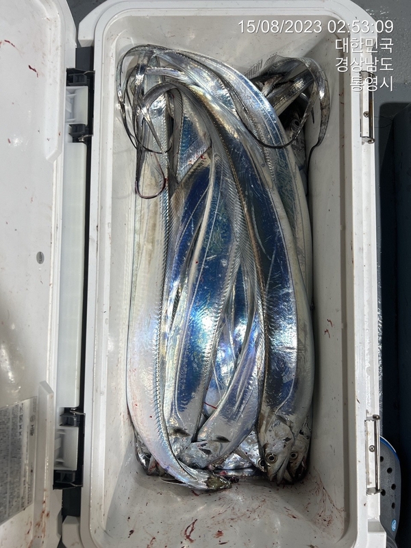 뉴경원피싱의 조황일지 이미지 - 1