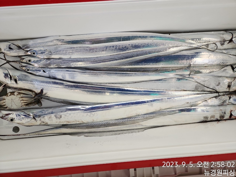 뉴경원피싱의 조황일지 이미지 - 1