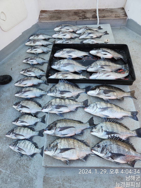 해당 선사를 대표하는 이미지