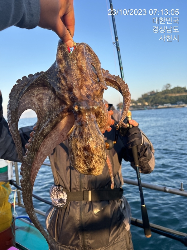 해당 선사를 대표하는 이미지