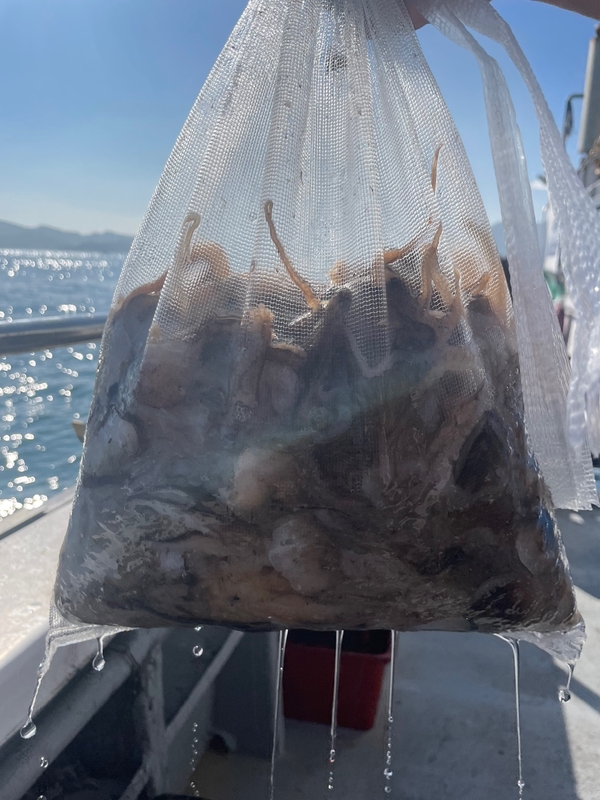 해당 선사를 대표하는 이미지