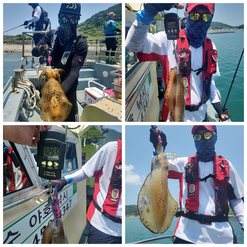 해당 선사를 대표하는 이미지