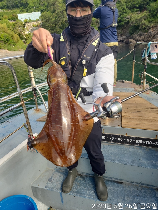 해당 선사를 대표하는 이미지