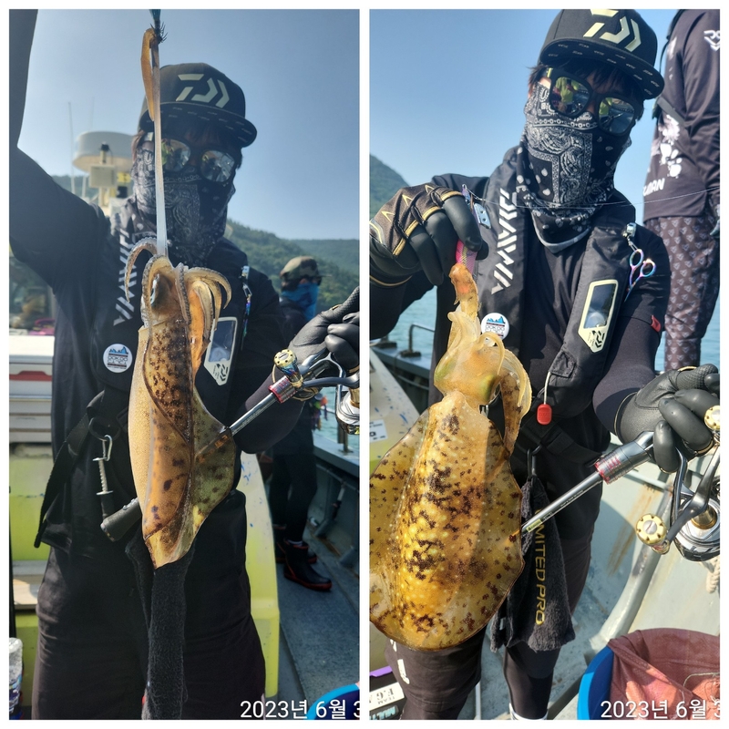 해당 선사를 대표하는 이미지