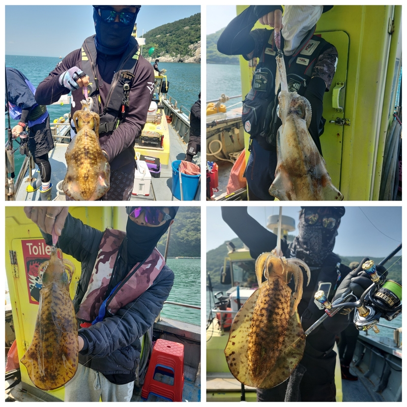 해당 선사를 대표하는 이미지