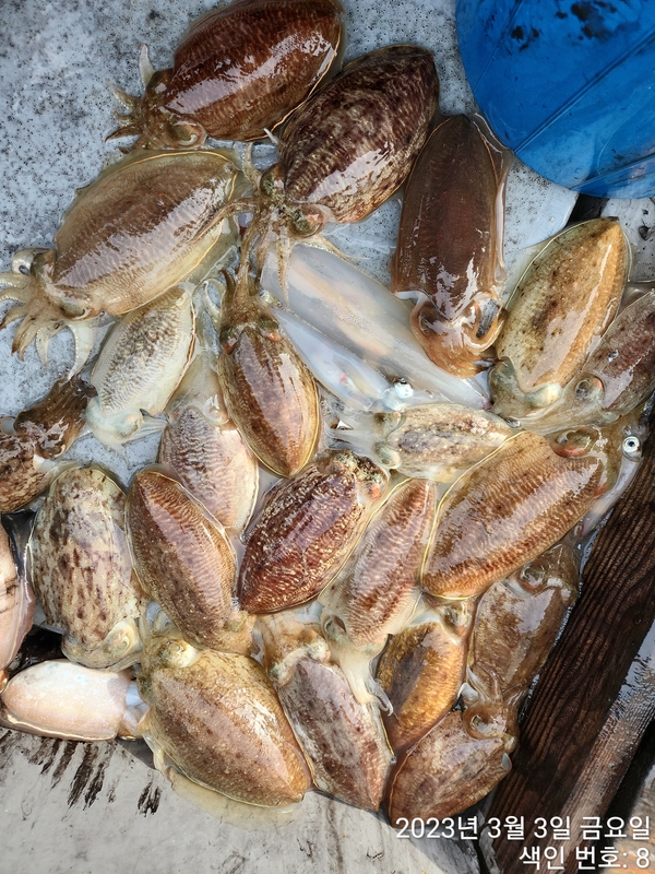 해당 선사를 대표하는 이미지