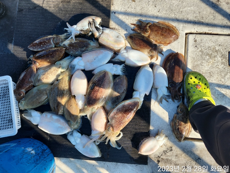 해당 선사를 대표하는 이미지