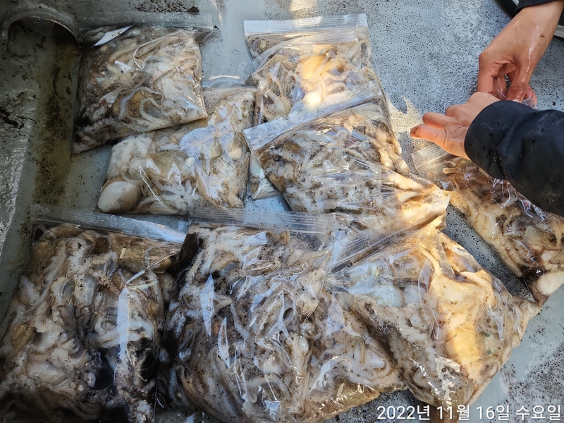 해당 선사를 대표하는 이미지