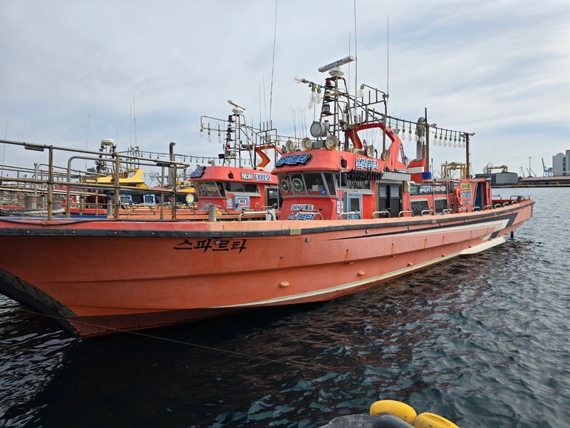 해당 선사를 대표하는 이미지