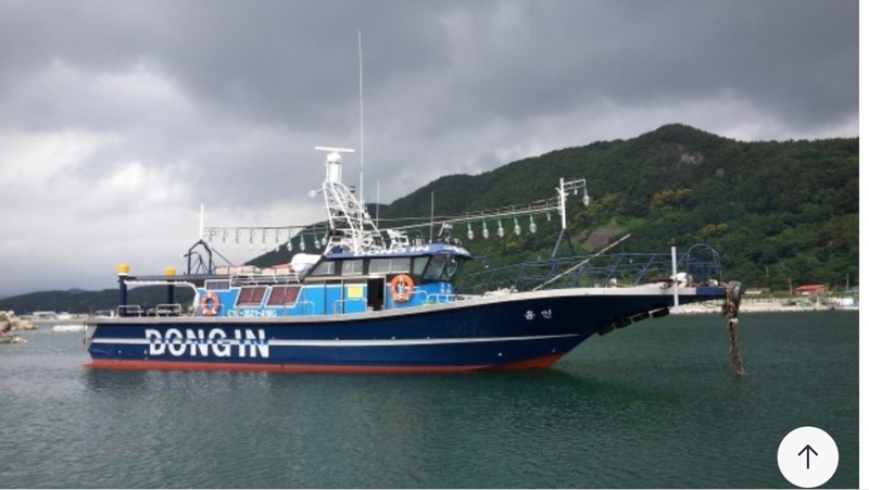 해당 선사를 대표하는 이미지