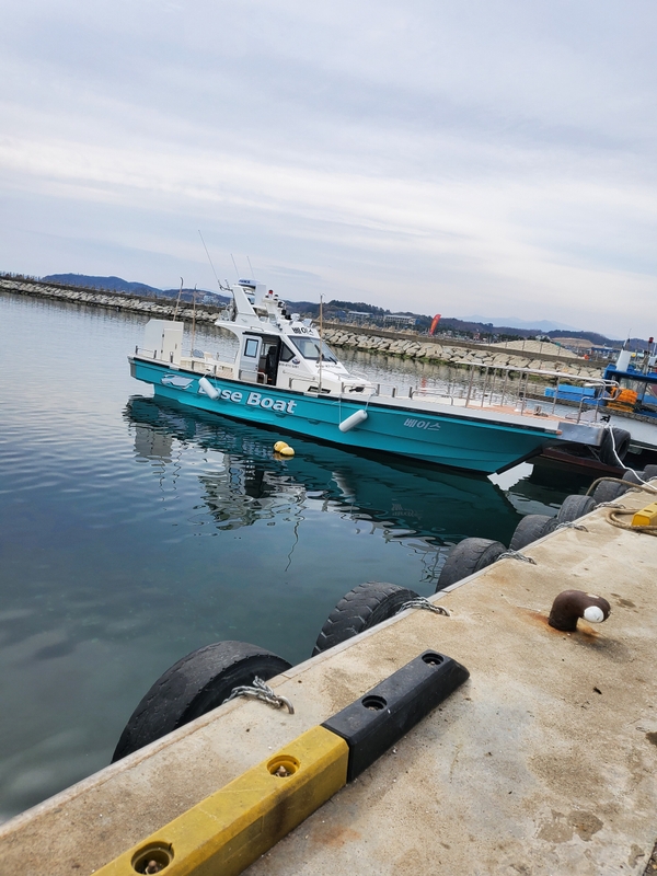 해당 선사를 대표하는 이미지