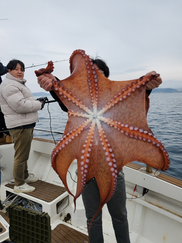 해당 선사를 대표하는 이미지
