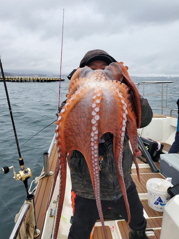 해당 선사를 대표하는 이미지