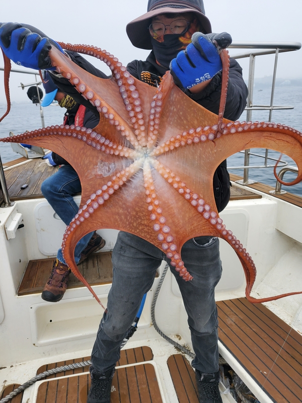 해당 선사를 대표하는 이미지