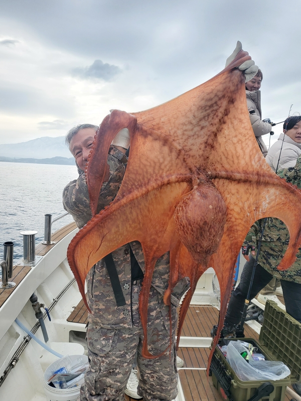 해당 선사를 대표하는 이미지