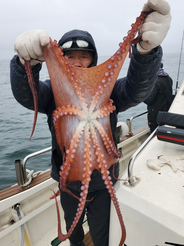 해당 선사를 대표하는 이미지