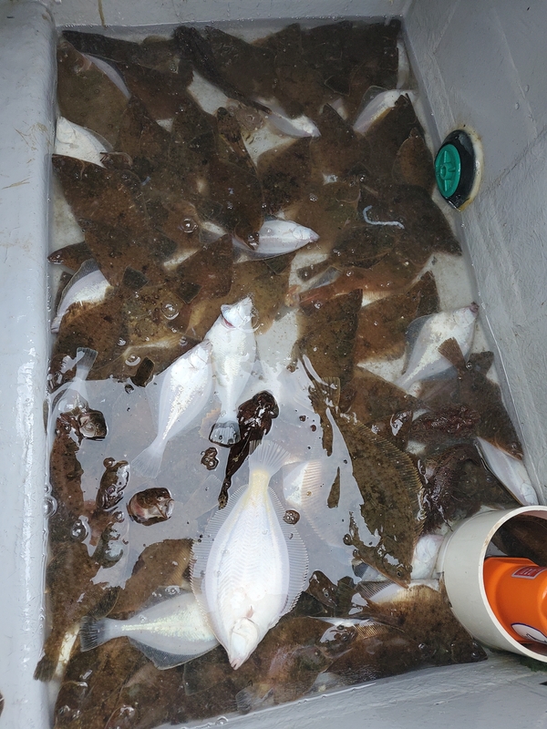 해당 선사를 대표하는 이미지