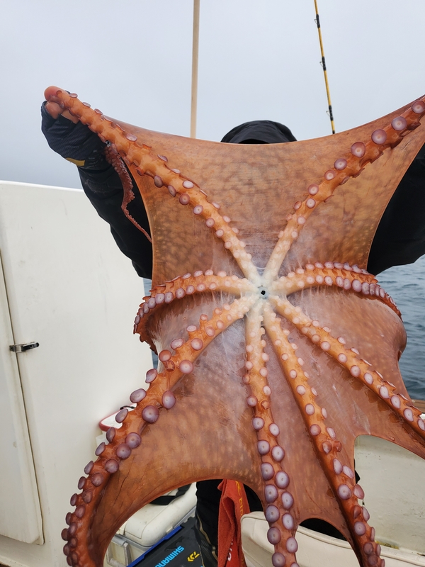 해당 선사를 대표하는 이미지