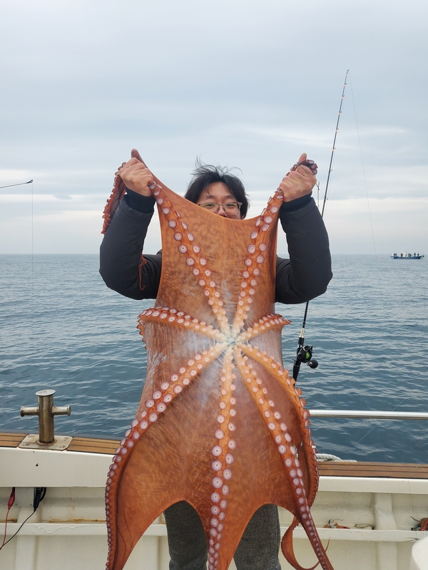 해당 선사를 대표하는 이미지