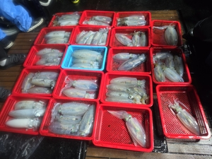 구룡포 포세이돈 10월 11일 무늬조행 선상낚시로 잡은 물고기 조황