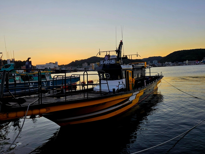 해당 선사를 대표하는 이미지