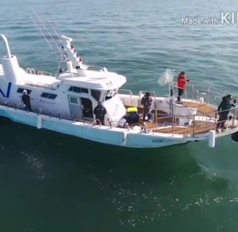 해당 선사를 대표하는 이미지