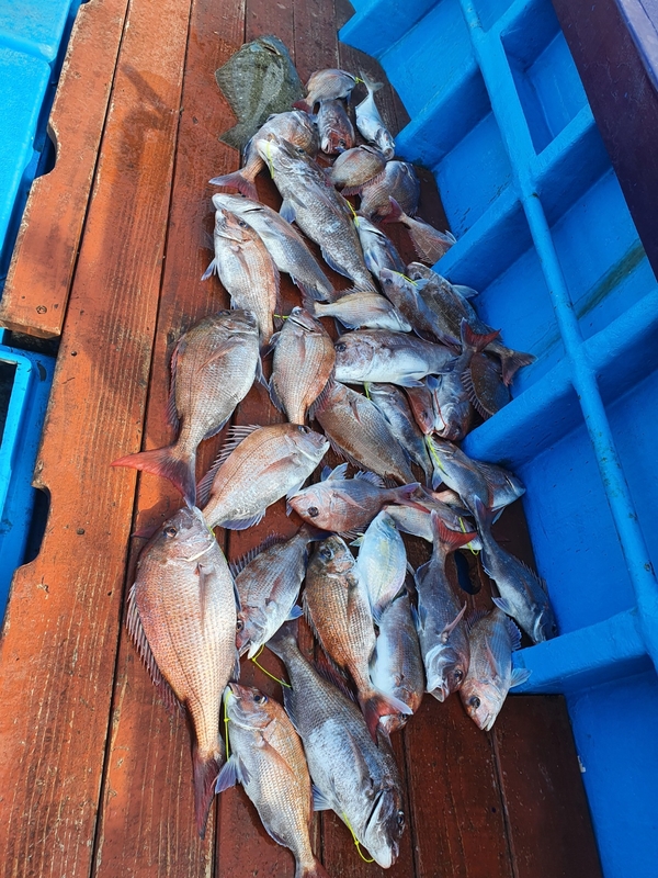 해당 선사를 대표하는 이미지