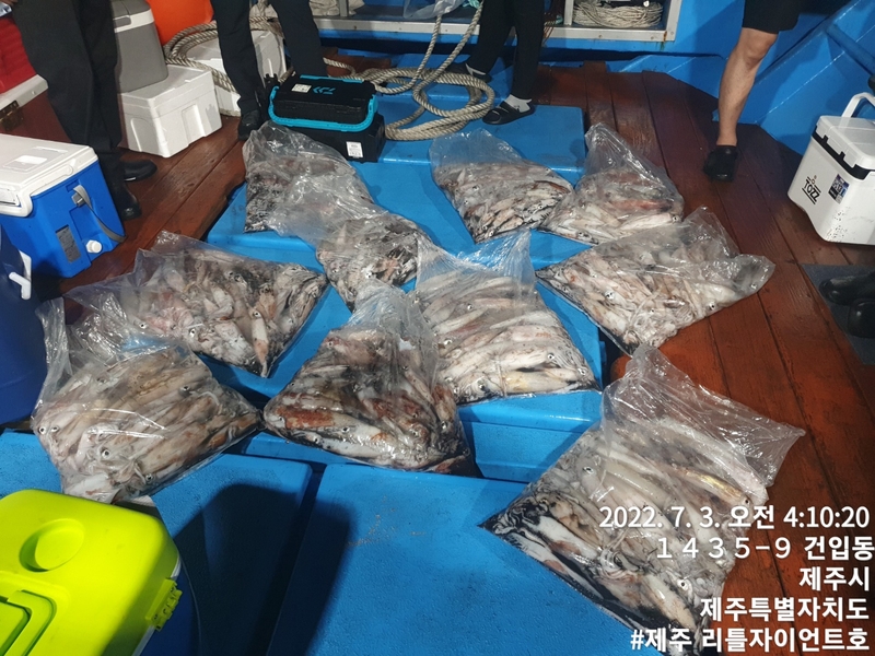 해당 선사를 대표하는 이미지