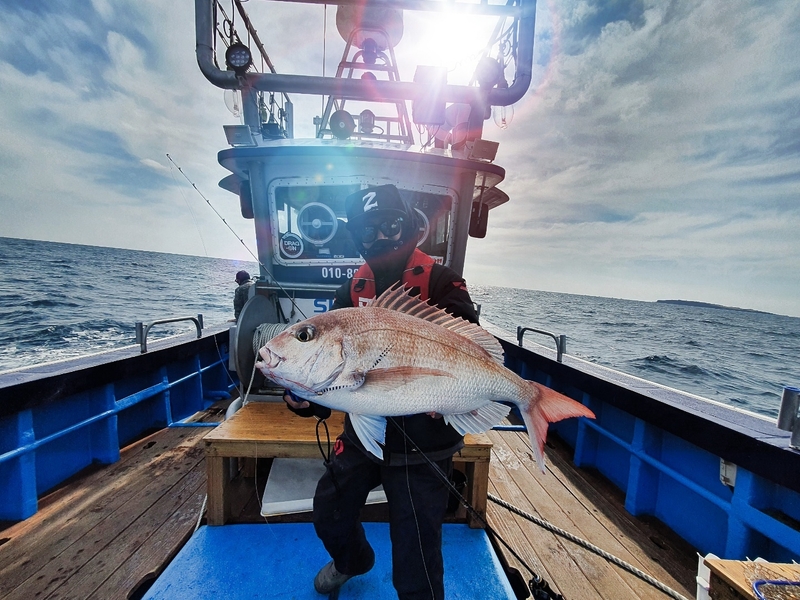 해당 선사를 대표하는 이미지