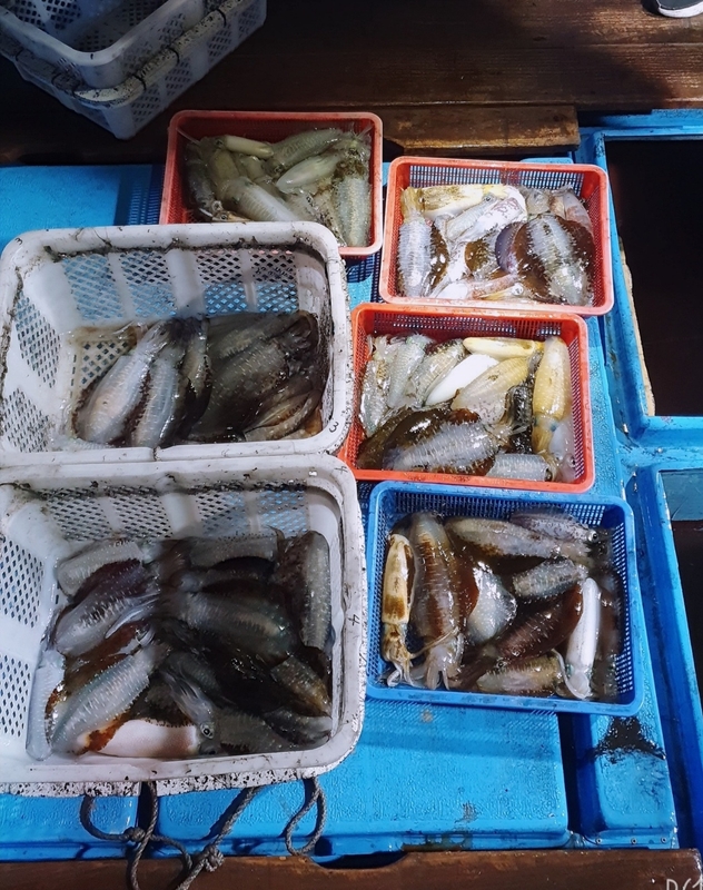 해당 선사를 대표하는 이미지