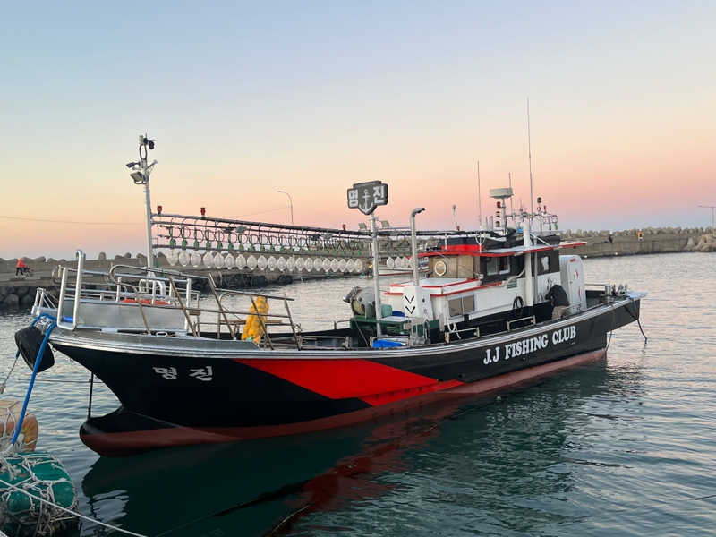 해당 선사를 대표하는 이미지