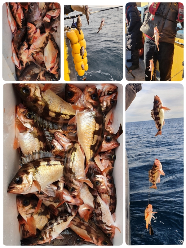 해당 선사를 대표하는 이미지